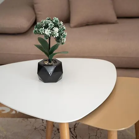 Rusi Apartment